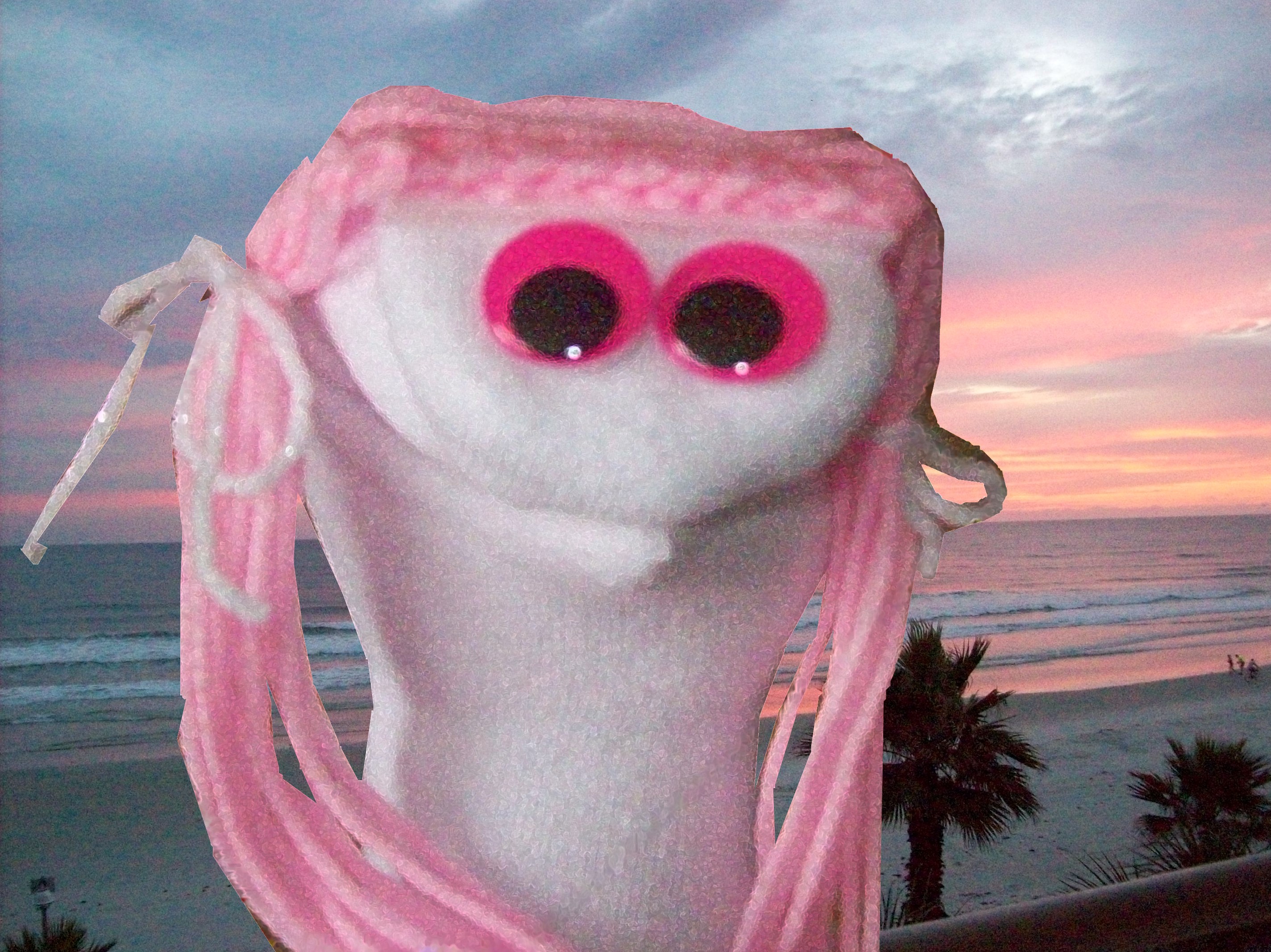 pinkyonthebeach.jpg